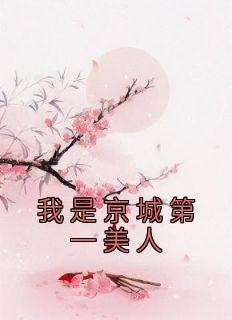 我是京城第一美人全章节免费在线阅读 林芙宁沈阶小说完结版