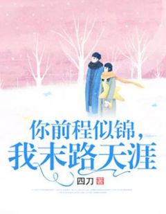 《陆先生爱她很多年》沈念安陆林稹小说最新章节目录及全文完整版